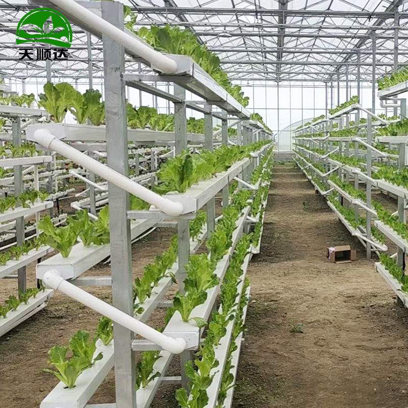 蔬菜大棚无土栽培设备 墙体栽培模式 温室大棚无土栽培种植设备