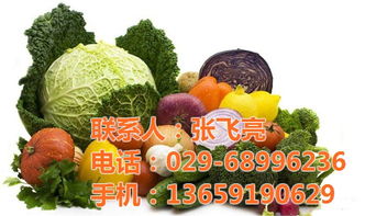 蔬菜配送,西安关于蔬菜配送,袋鼠农产品销售 认证商家 高清图片 高清大图